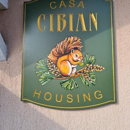 Casa Cibian Lägenhet Braşov Exteriör bild