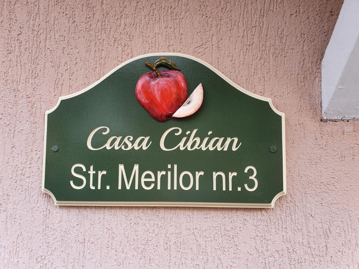 Casa Cibian Lägenhet Braşov Exteriör bild