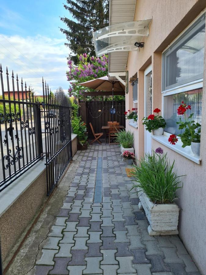 Casa Cibian Lägenhet Braşov Exteriör bild