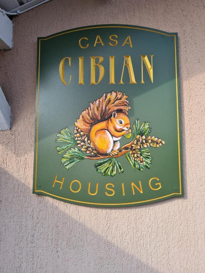 Casa Cibian Lägenhet Braşov Exteriör bild