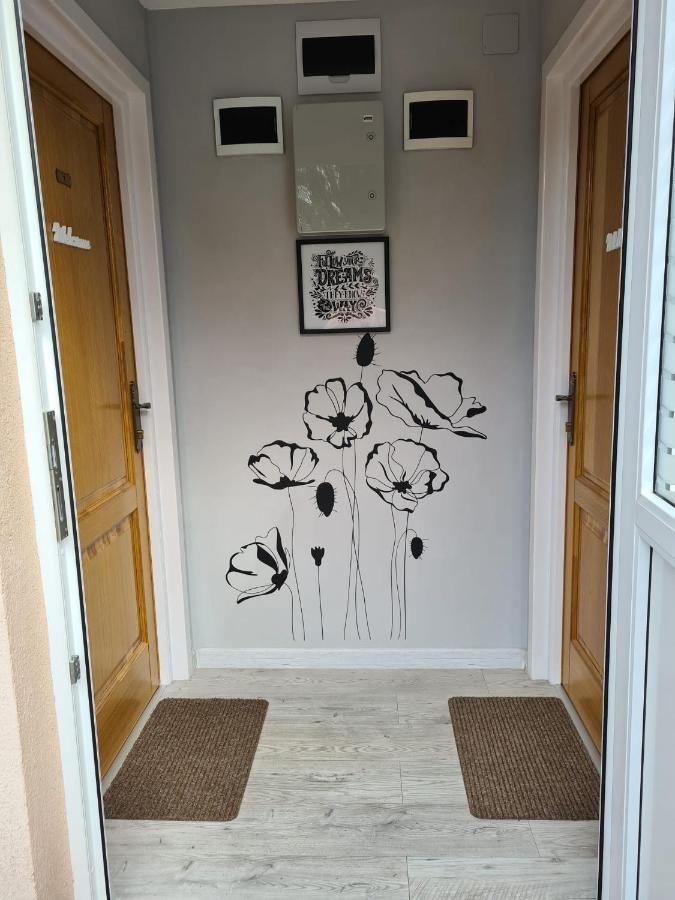 Casa Cibian Lägenhet Braşov Exteriör bild