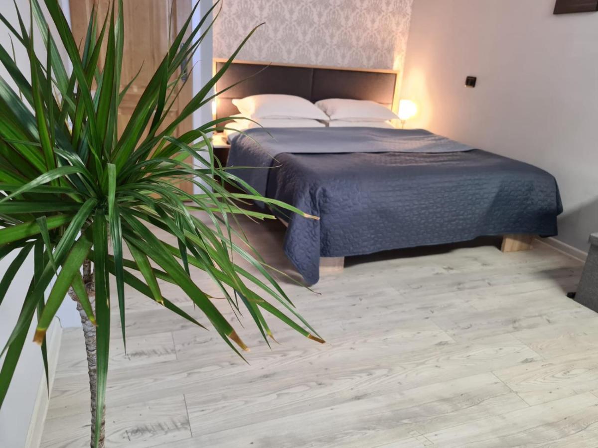 Casa Cibian Lägenhet Braşov Exteriör bild